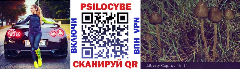 Галлюциногенные грибы Cubensis  Урюпинск 